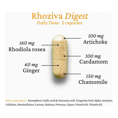 Capsulas Digestivas Con Enzimas Y Rhodiola Rosea Alivia Hinchazon Reflujo 60 Unidades