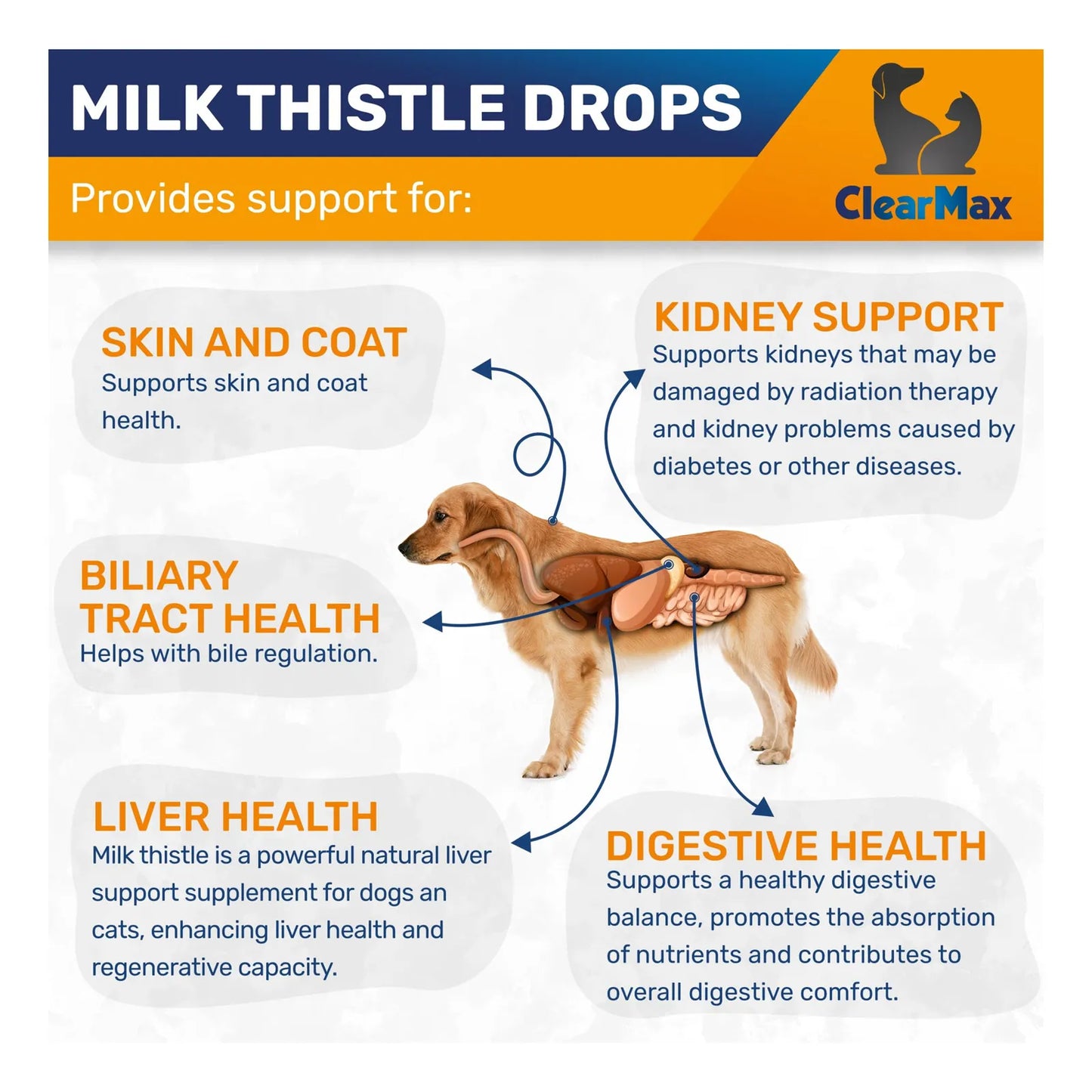 Cardo Mariano Liquido 60 Ml Soporte Hepatico Renal Para Perros