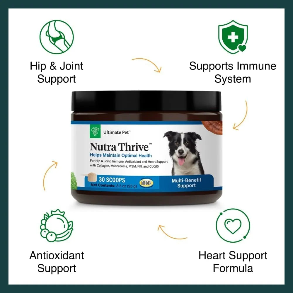Nutra Thrive Canine Suplemento Nutricional 40 En 1 Para Perros Con Vitaminas Y Probióticos