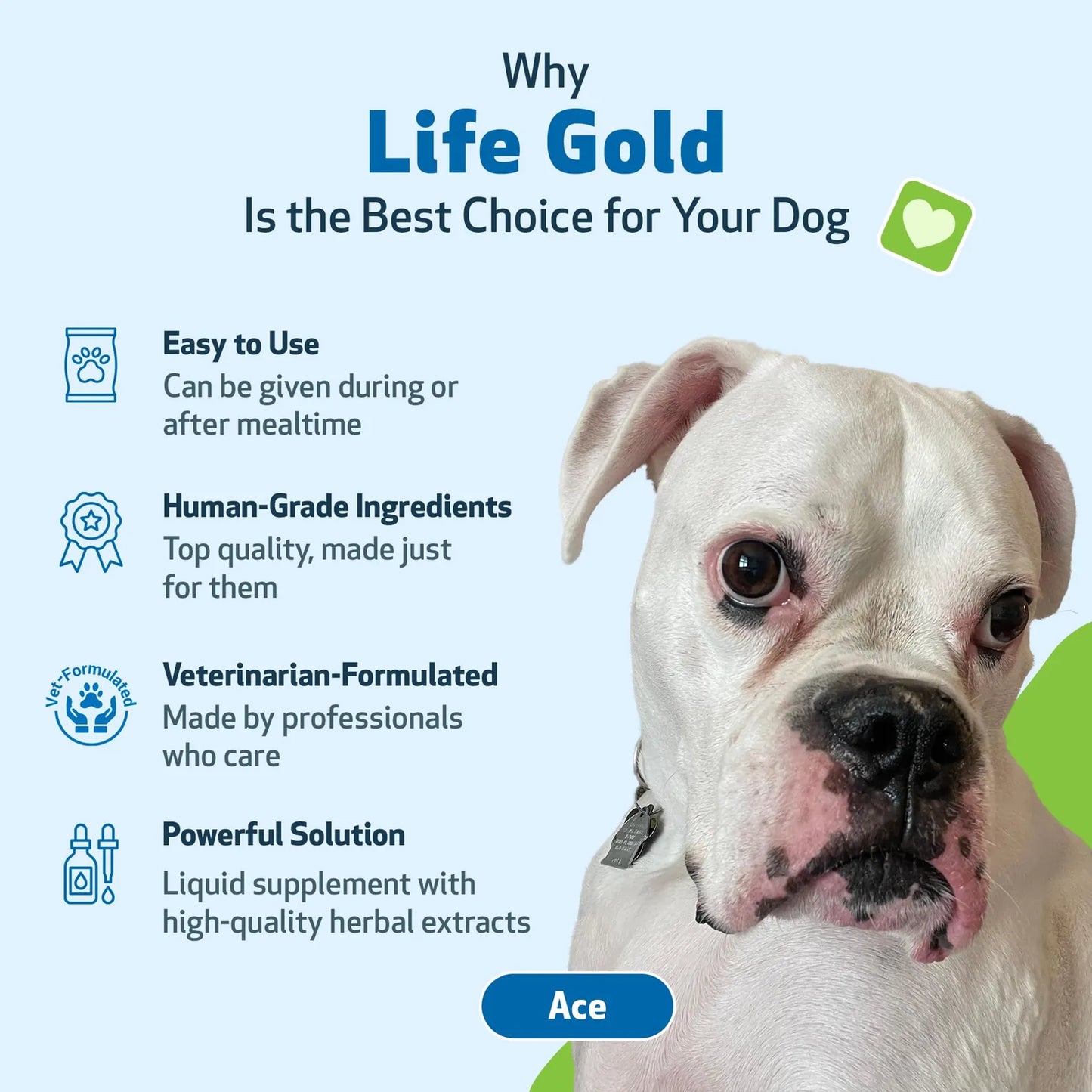 Suplemento Life Gold Para Perros Y Gatos Apoyo Natural Contra Cáncer 2 Onzas