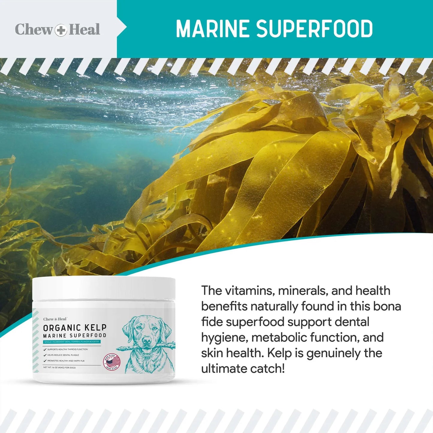 Polvo De Algas Marinas Para Perros 450g Suplemento Natural Para Piel Tiroides Y Dientes