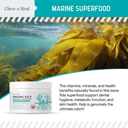Polvo De Algas Marinas Para Perros 450g Suplemento Natural Para Piel Tiroides Y Dientes