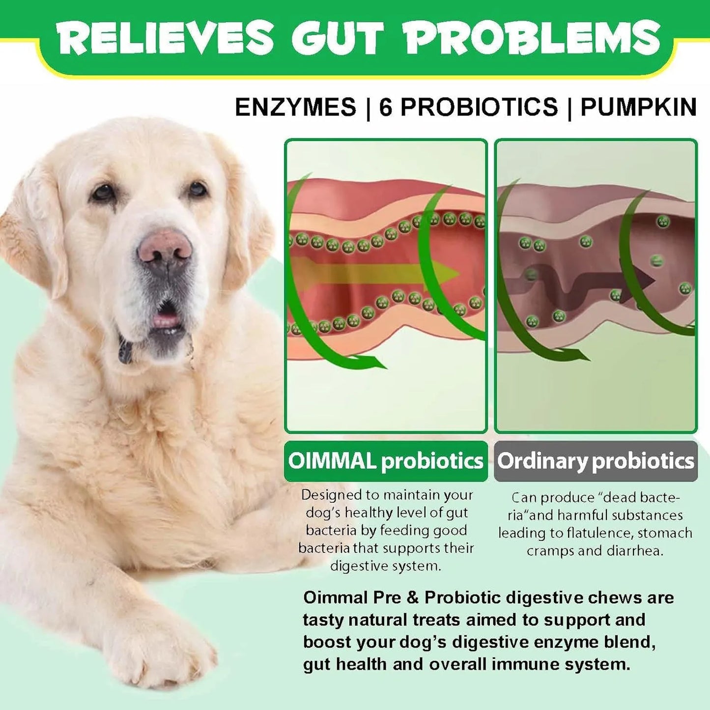 Golosinas Masticables Probióticas Para Perros 120 Unidades Salud Digestiva