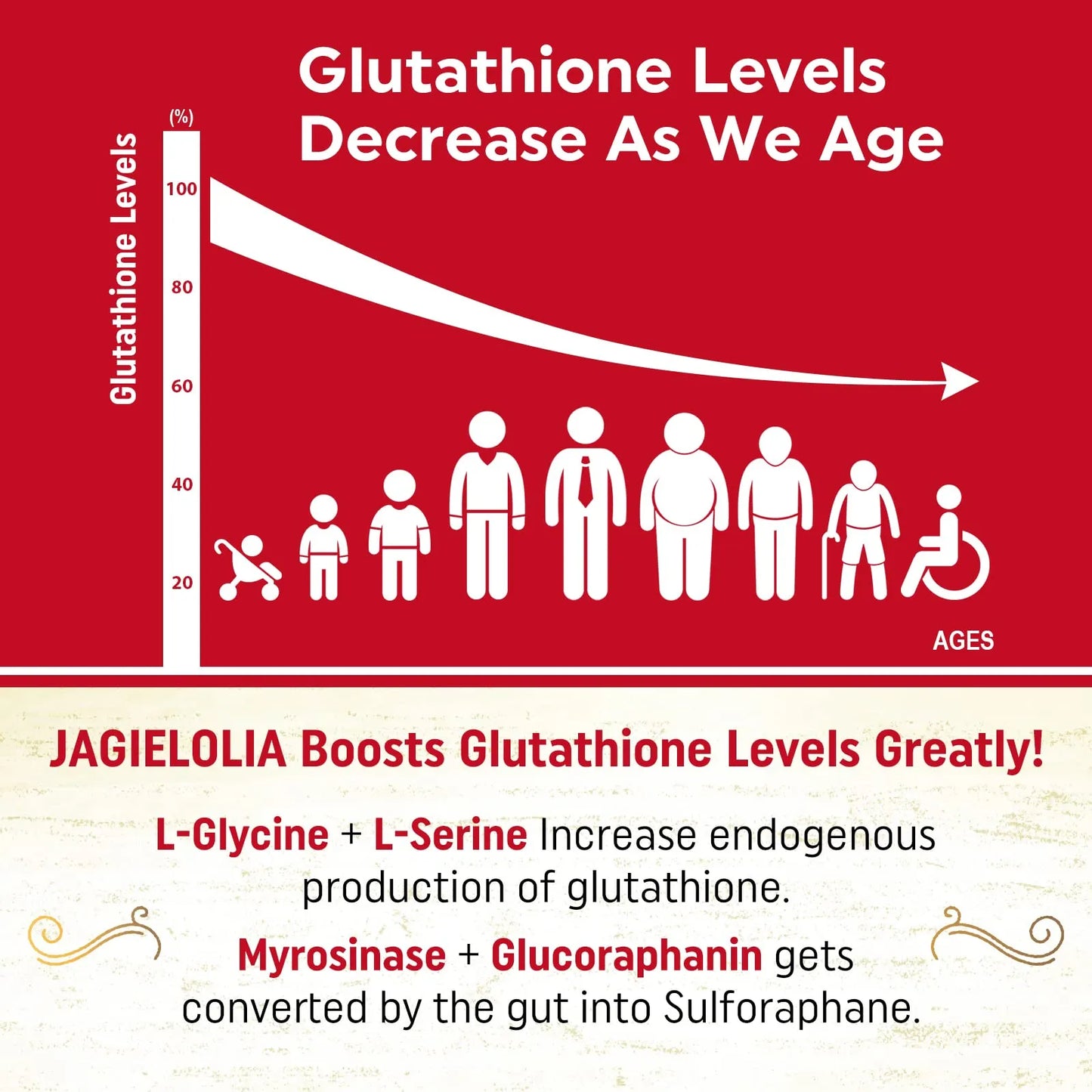 Glutatión Liposomal 2000 Mg Con L Serina L Glicina Sulforafano Antioxidante Premium