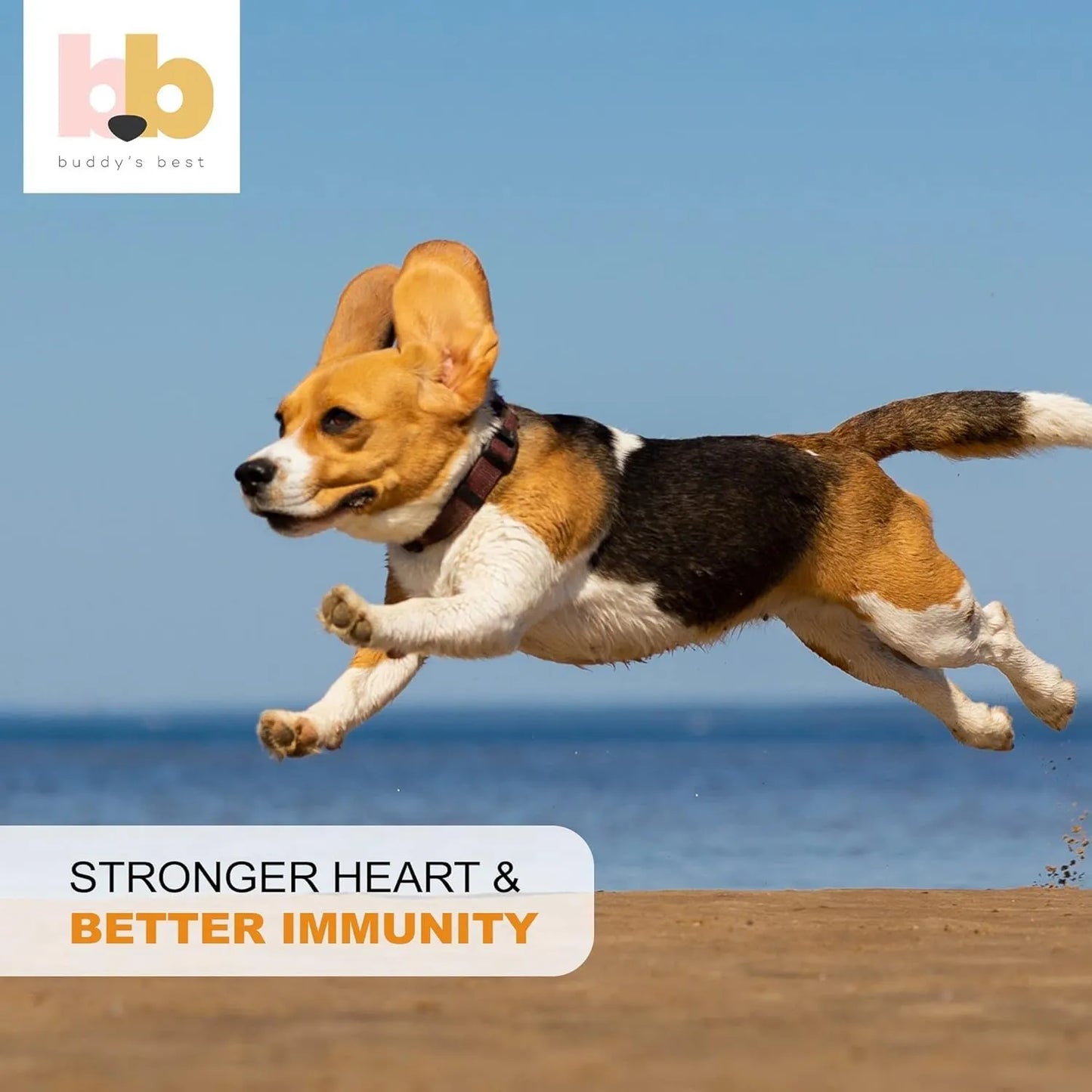 Aceite De Salmón Para Perros Buddys Best 1 Galón Con Bomba Omega 3 Noruego