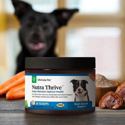 Nutra Thrive Canine Suplemento Nutricional 40 En 1 Para Perros Con Vitaminas Y Probióticos