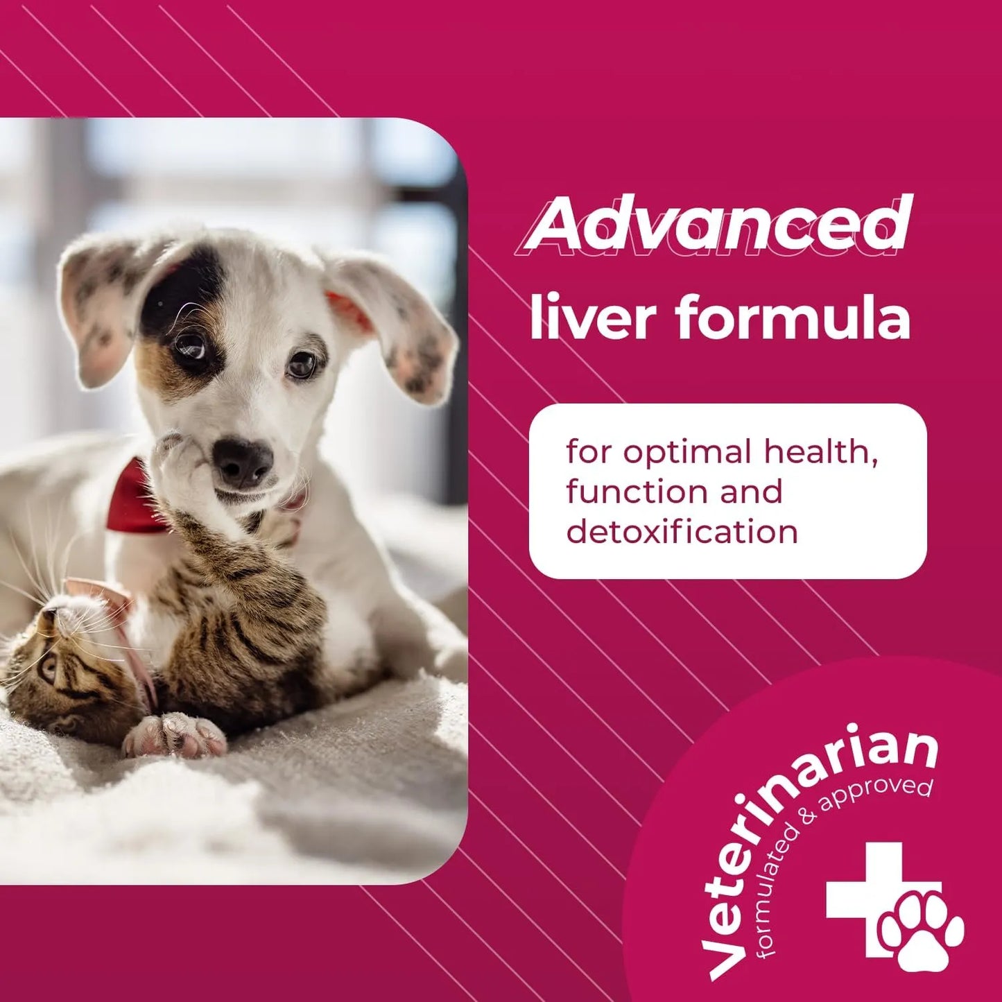 Tabletas Sam E Con Glutation Para Perros Y Gatos Apoyo Hepatico VetriScience