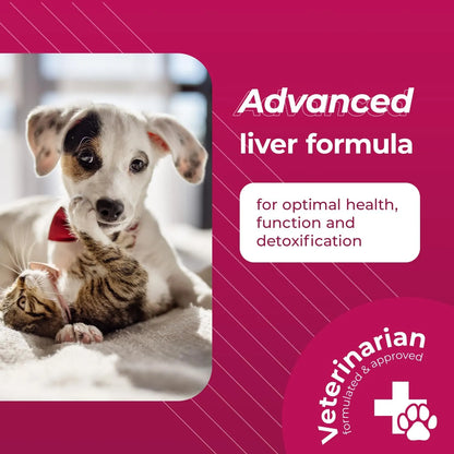 Tabletas Sam E Con Glutation Para Perros Y Gatos Apoyo Hepatico VetriScience