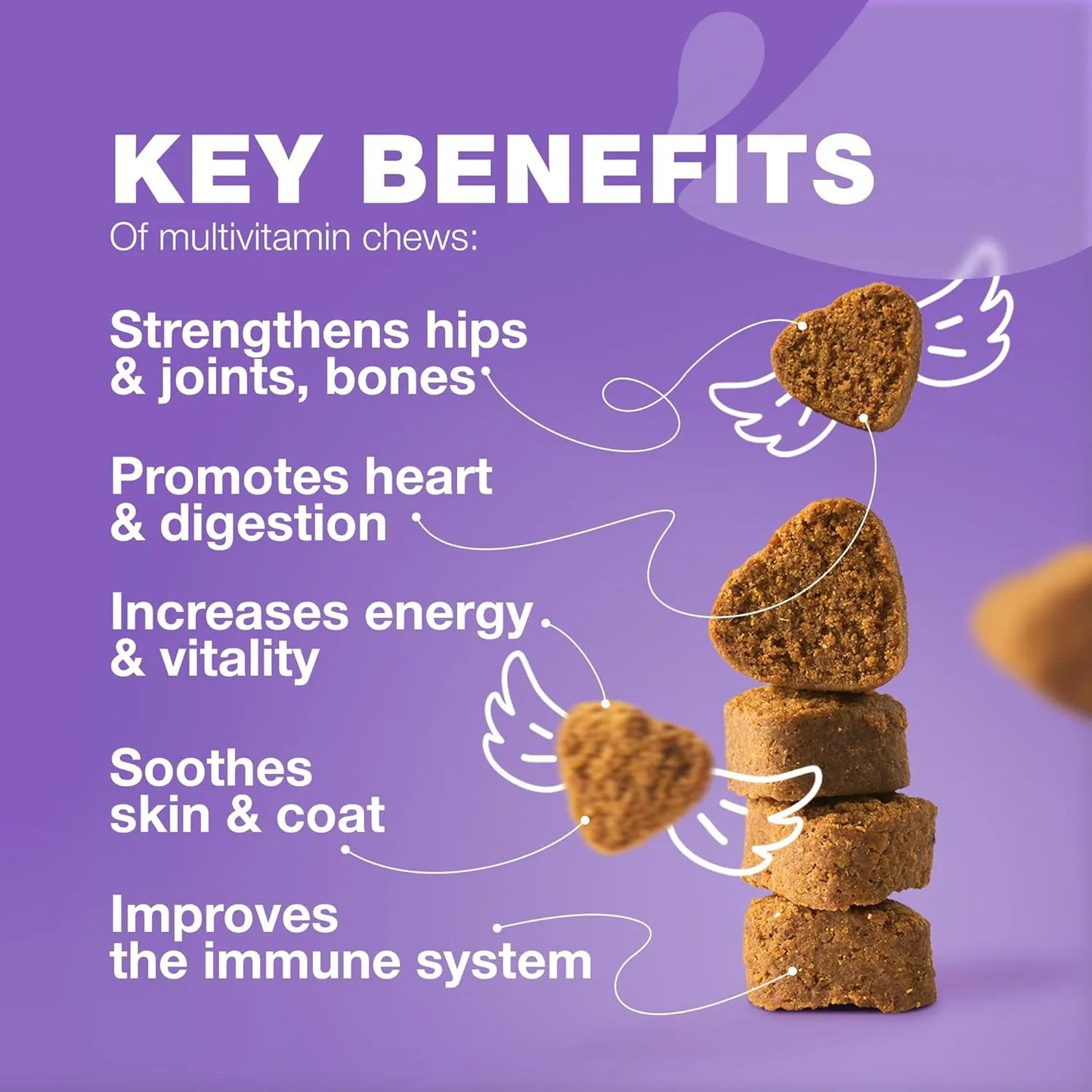 Multivitaminas Masticables 15 En 1 Para Perros Con MSM Salud Articular Y Piel
