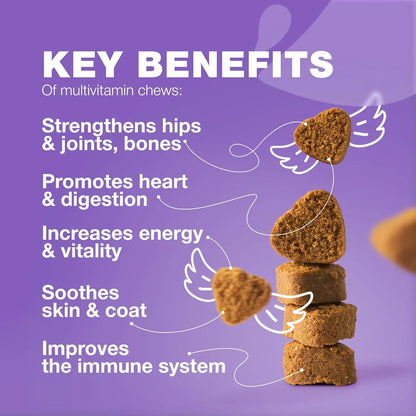Multivitaminas Masticables 15 En 1 Para Perros Con MSM Salud Articular Y Piel