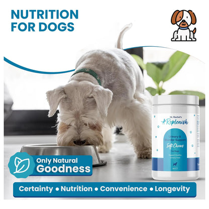 Masticables Para Perros Con Extracto De Arándano Tratamiento Infecciones Urinarias