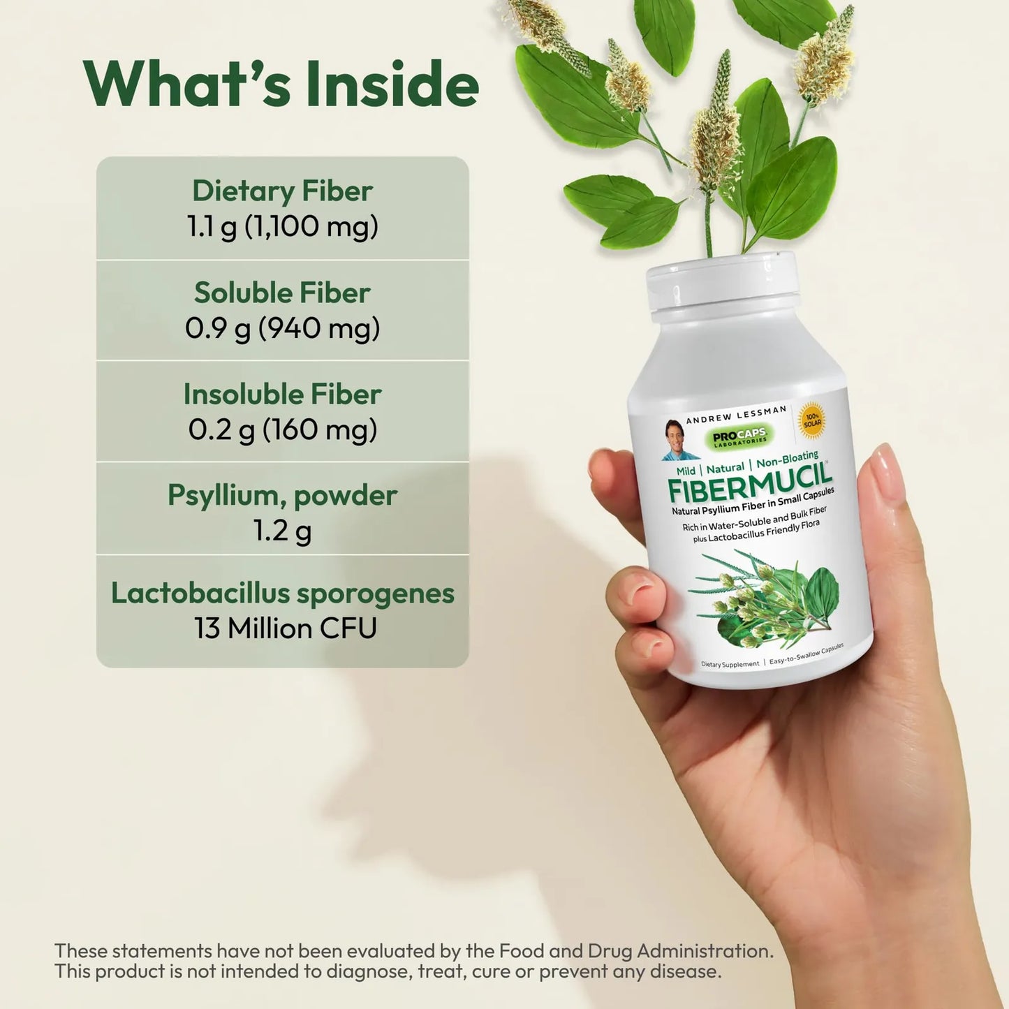 Cápsulas De Polvo De Cáscara De Psyllium 1000 Mg Para Digestión Saludable Y Regularidad