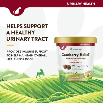 Bocados Masticables Con Arándanos Y Equinácea Para Salud Urinaria E Inmunológica De Tu Perro