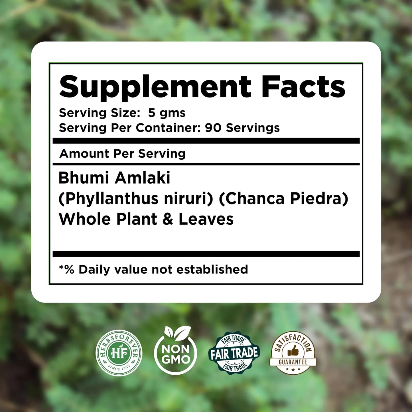Polvo Orgánico De Amalaki Bhumy Con Chanca Piedra 454 Gramos Purifica Hígado Y Equilibra Energía