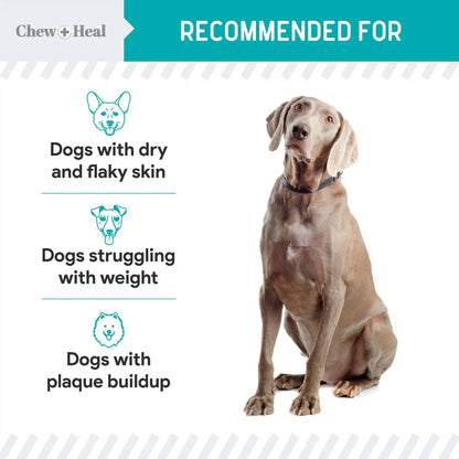 Polvo De Algas Marinas Para Perros 450g Suplemento Natural Para Piel Tiroides Y Dientes