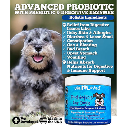 Masticables Probióticos Y Enzimas Digestivas Para Perros Salud Intestinal