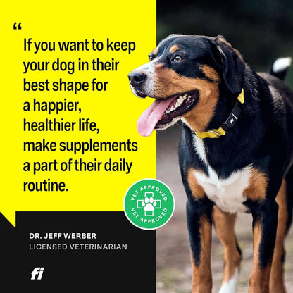 Suplemento Canino 8 En 1 Salud Articular Y Digestiva Con Glucosamina Formula Diaria