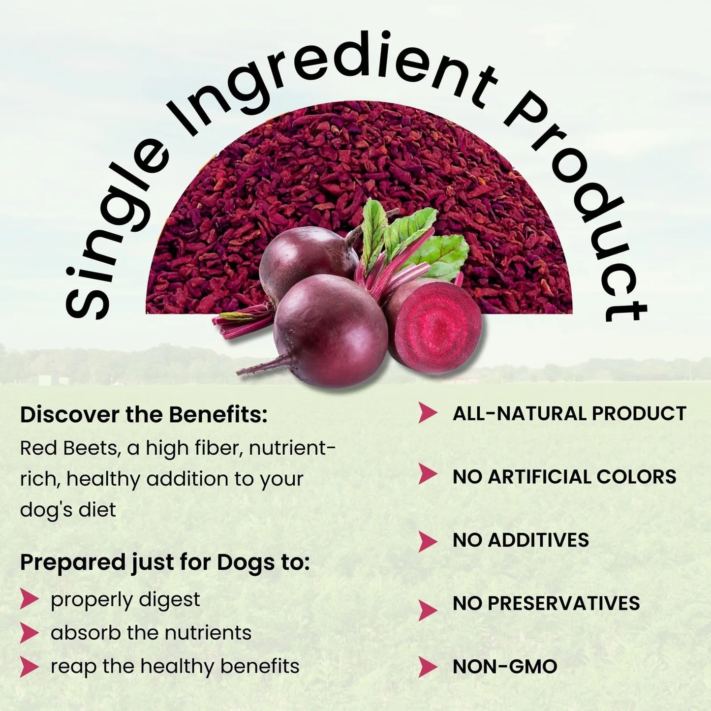 Remolacha Roja Olewo Para Perros Suplemento Natural Piel Y Pelaje 5.5 Libras