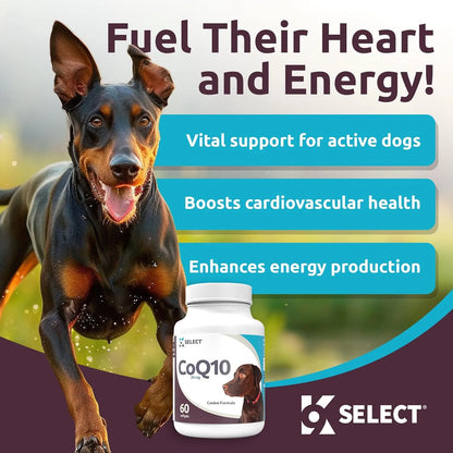 Suplemento CoQ10 Para Perros 30 Mg 60 Capsulas Salud Corazon Y Energia