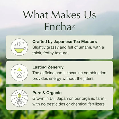 Té Verde Matcha Ceremonial Orgánico Japonés De Uji 60g Energía Natural Y Sabor Premium