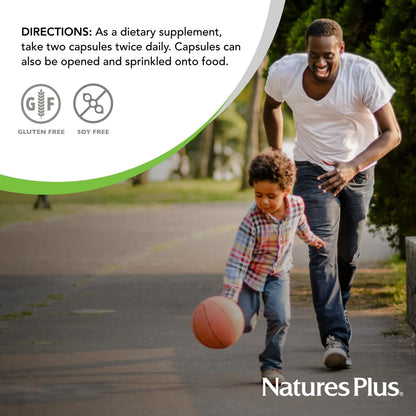 Lecitina De Yema De Huevo 600 Mg 90 Cápsulas Vegetarianas Natures Plus Apoyo Defensas Y Función Hepática
