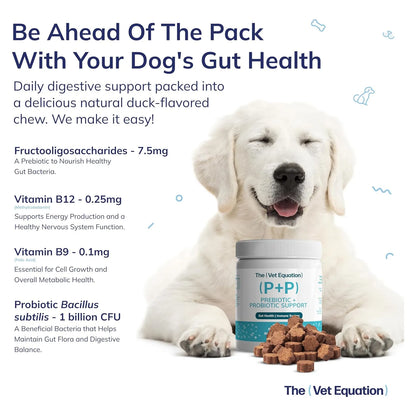 Masticables Naturales Para Perros Salud Digestiva Sabor Pato 90 Unidades