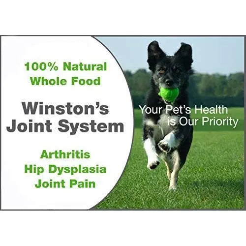 Joint System Suplemento Natural Para Artritis Y Displasia En Perros Medianos 40 A 99 Libras