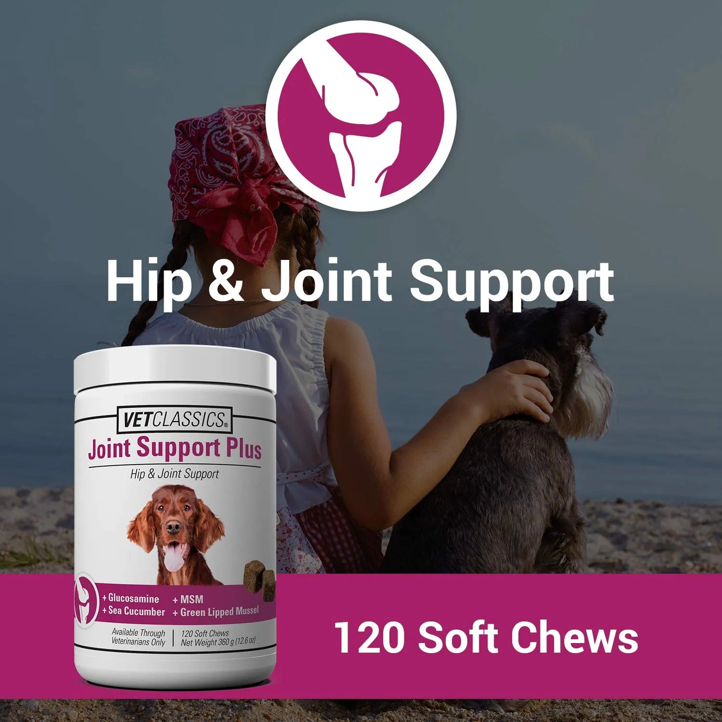 Suplemento Joint Support Plus Para Perros Alivia Dolor Articular Y Flexibilidad 120 Tabletas