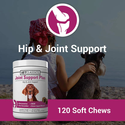 Suplemento Joint Support Plus Para Perros Alivia Dolor Articular Y Flexibilidad 120 Tabletas