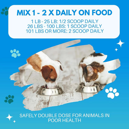Calostro Bovino Bioactivo En Polvo Para Perros Y Gatos 240g Refuerza Sistema Inmunologico