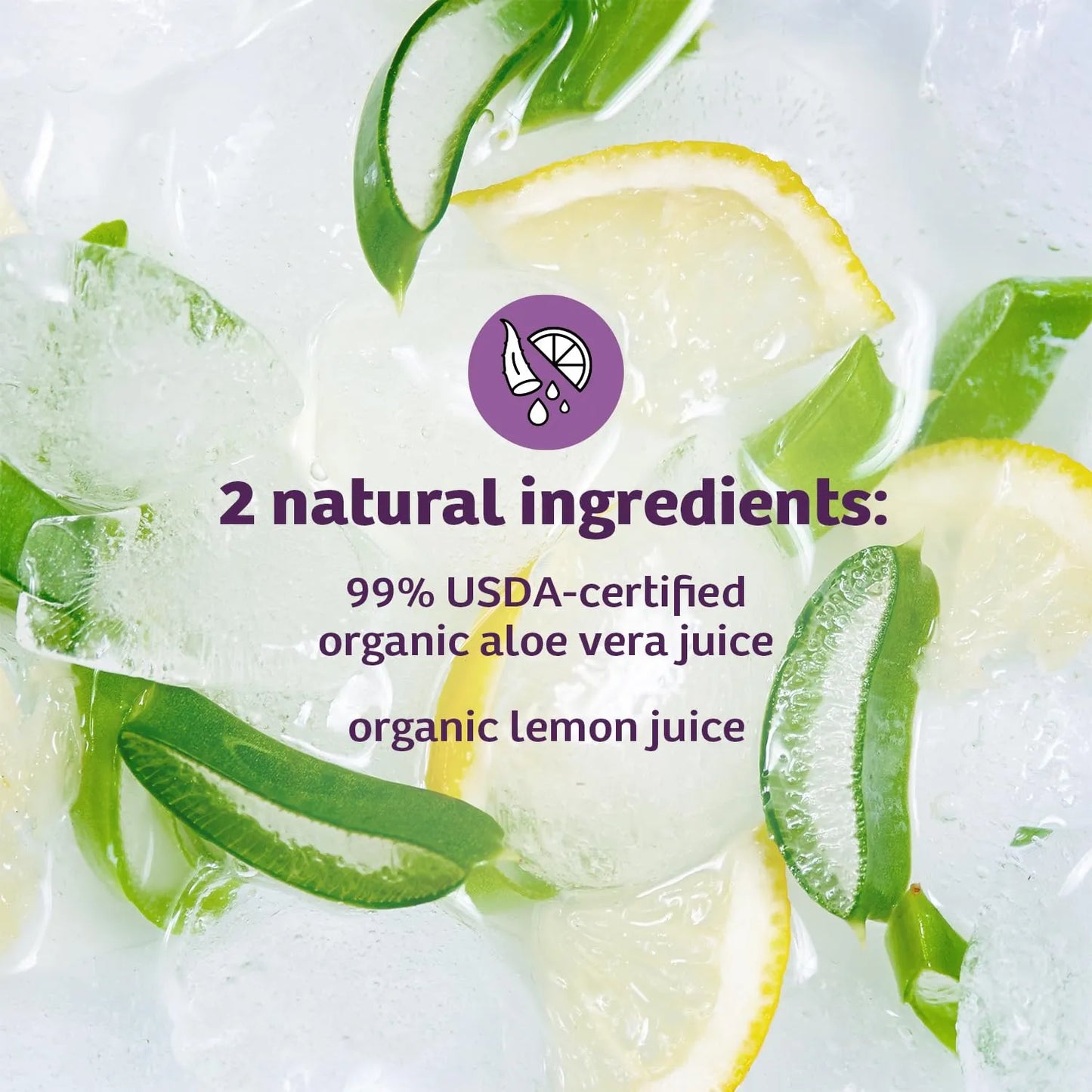 Bebida De Aloe Vera Con Vitaminas Naturales Y Enzimas Digestivas Para Salud Intestinal