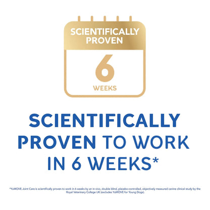 Suplemento Articular Para Perros Con Glucosamina Condroitina Omega 3 Mejillon Labios Verdes