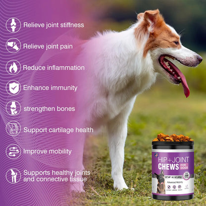 Glucosamina Para Perros 200 Unidades Suplemento Articular Con Condroitina Y MSM