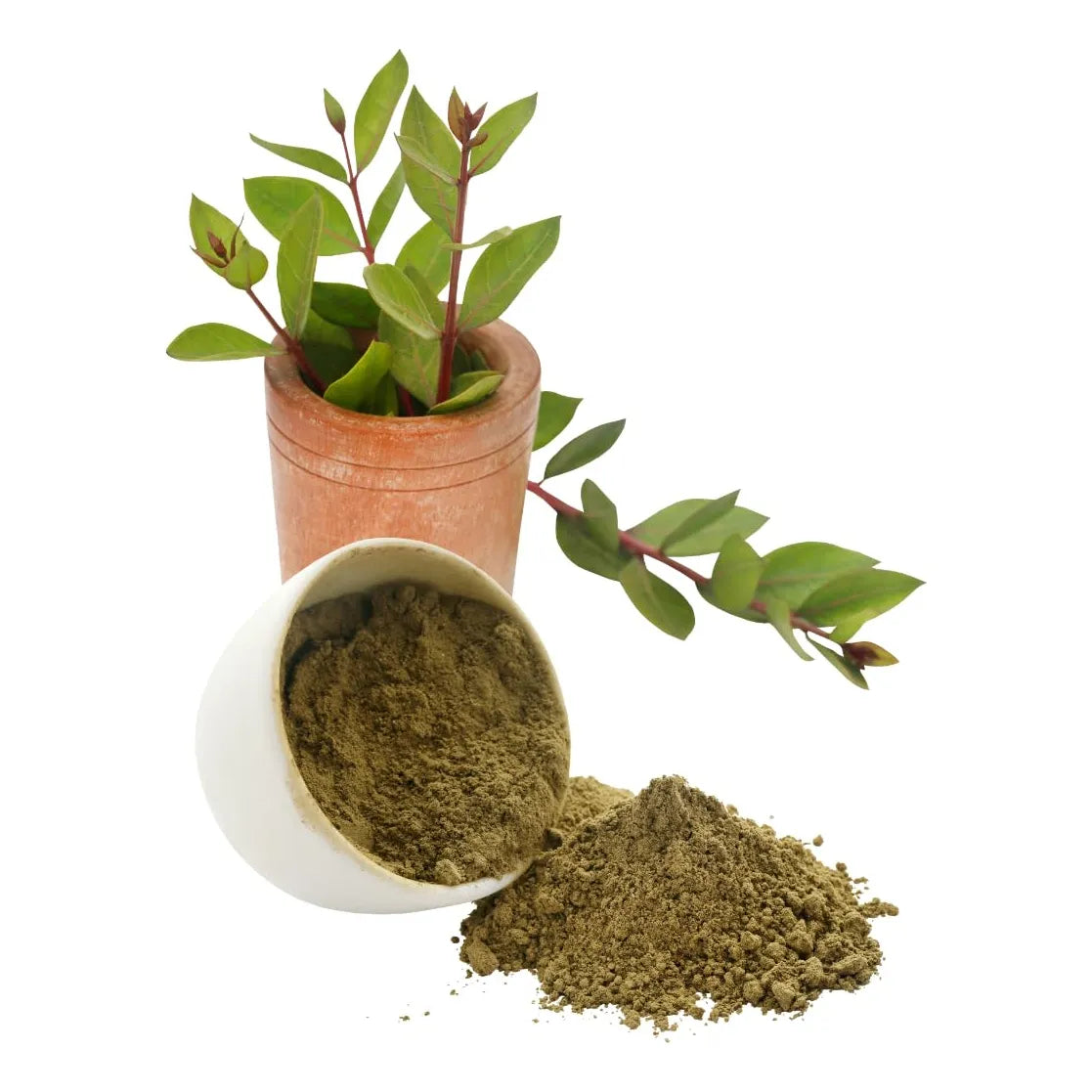 Polvo De Henna De Rajasthan Color Natural Cabello Nutricion Intensa