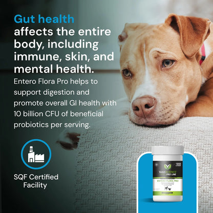 Probiótico En Polvo Para Mascotas Flora Intestinal Saludable Perros Gatos
