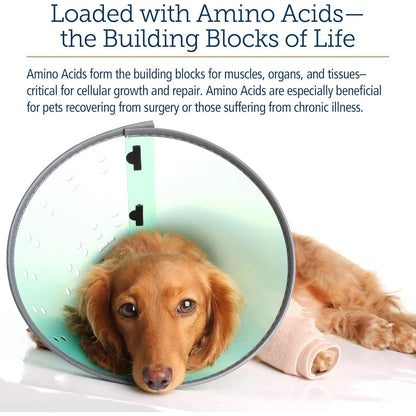Complejo Líquido De Vitamina B Y Aminoácidos Para Gatos Y Perros Rx Vitamins Amino B Plex