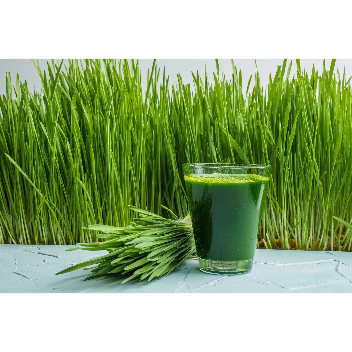 Polvo De Pasto De Trigo Orgánico De Nueva Zelanda 200g Vegano Sin Gluten