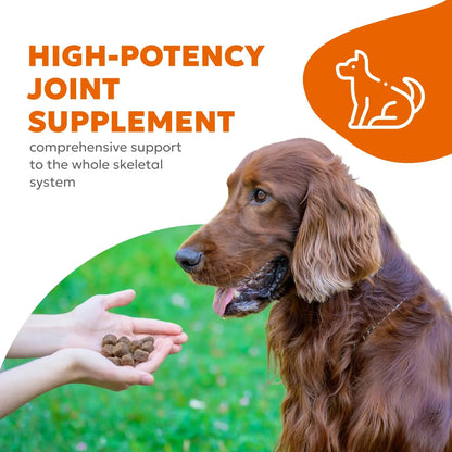 Masticables Suaves Para Perros Con Glucosamina Colágeno Y Cúrcuma Soporte Articular