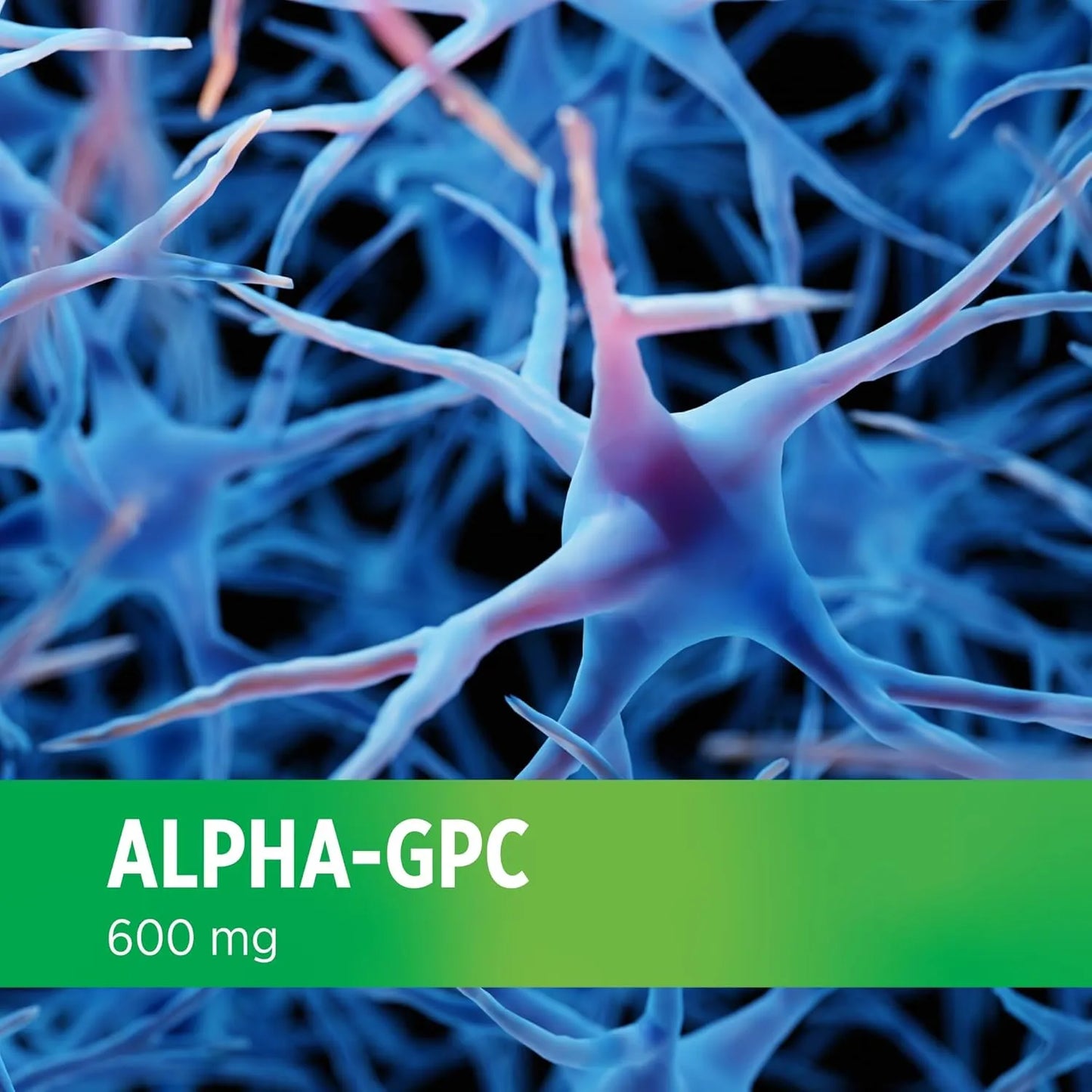 Alpha GPC 600 Mg 60 Capsulas Veganas Suplemento Premium Para Mente Y Cuerpo
