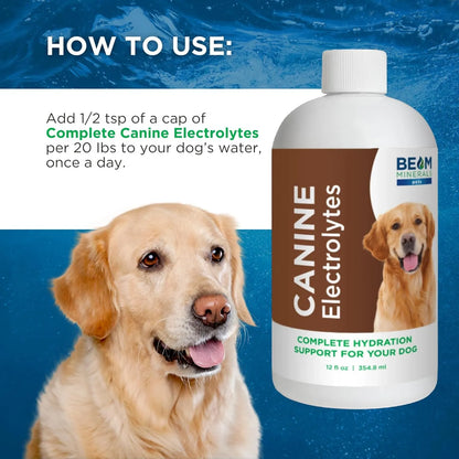 Electrolitos Líquidos Completos Para Perros Beam Minerals 355ml