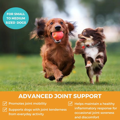 Nootie Progility Mini Masticables Para Perros Pequeños Y Medianos 60 Unidades