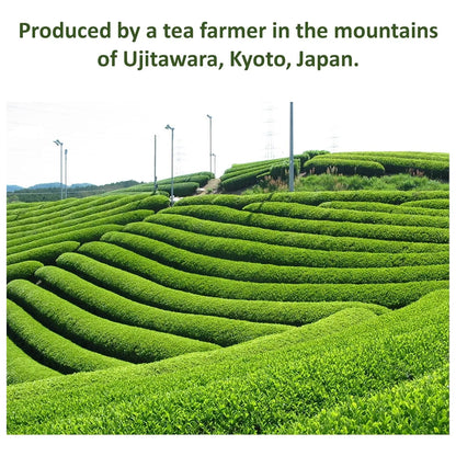 Polvo Orgánico Hojicha Té Verde Japonés Tostado Molido A Piedra 3.5 Onzas