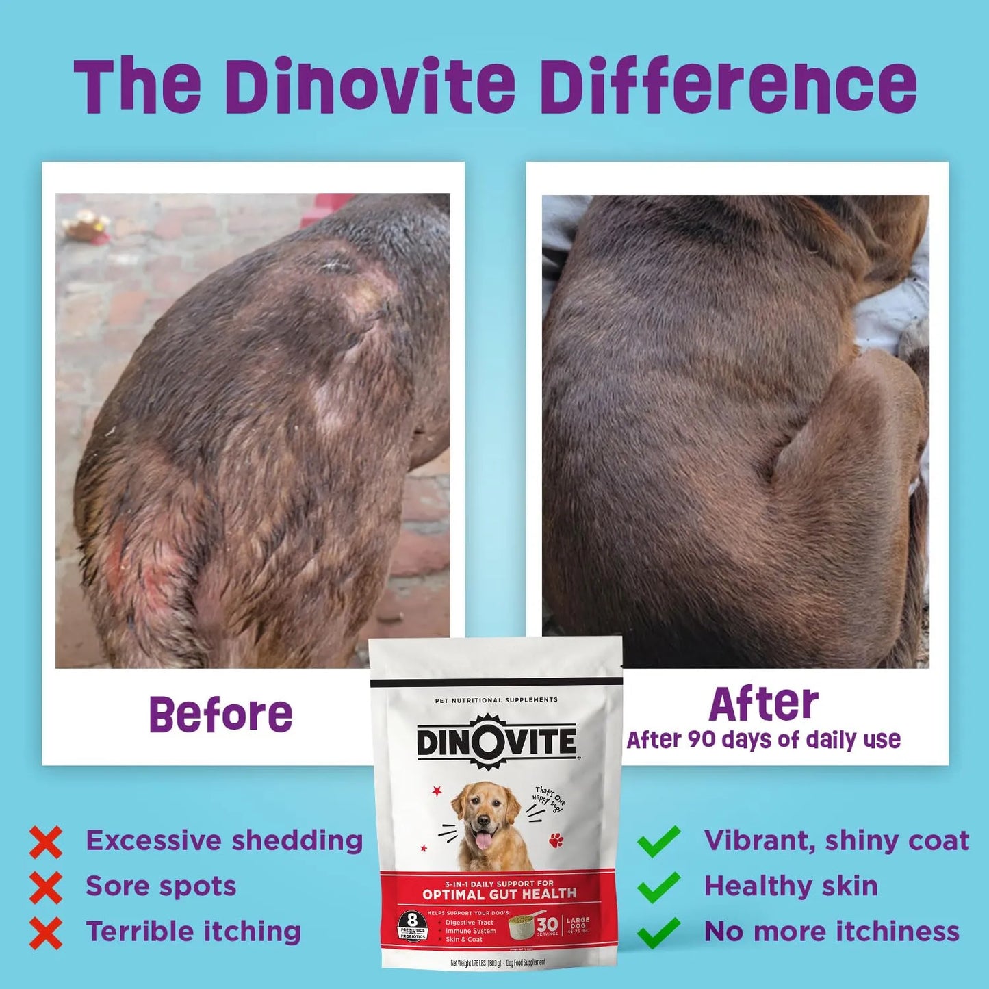 Probiótico Omega 3 Para Perros Alivia Puntos Calientes y Mejora Digestión