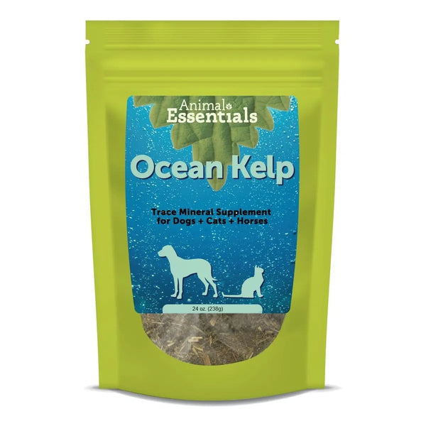 Algas Marinas En Polvo Para Perros Y Gatos Suplemento Mineral Natural