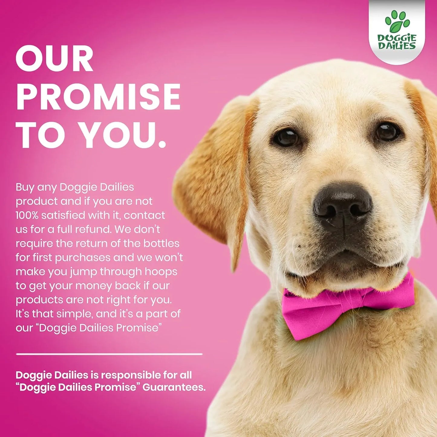 Masticables Suaves Para Piel Y Pelaje De Perros Con Aceite De Salmon Y Colageno 225 Unidades