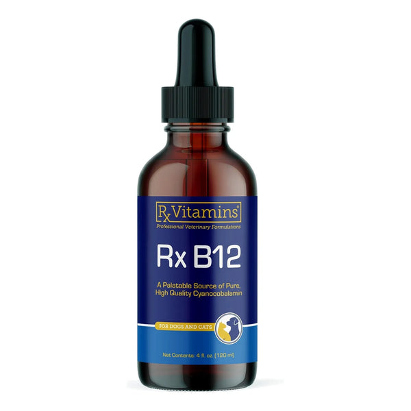 Vitamina B12 Para Perros Y Gatos Apoyo Digestivo Metabólico Y Nervioso