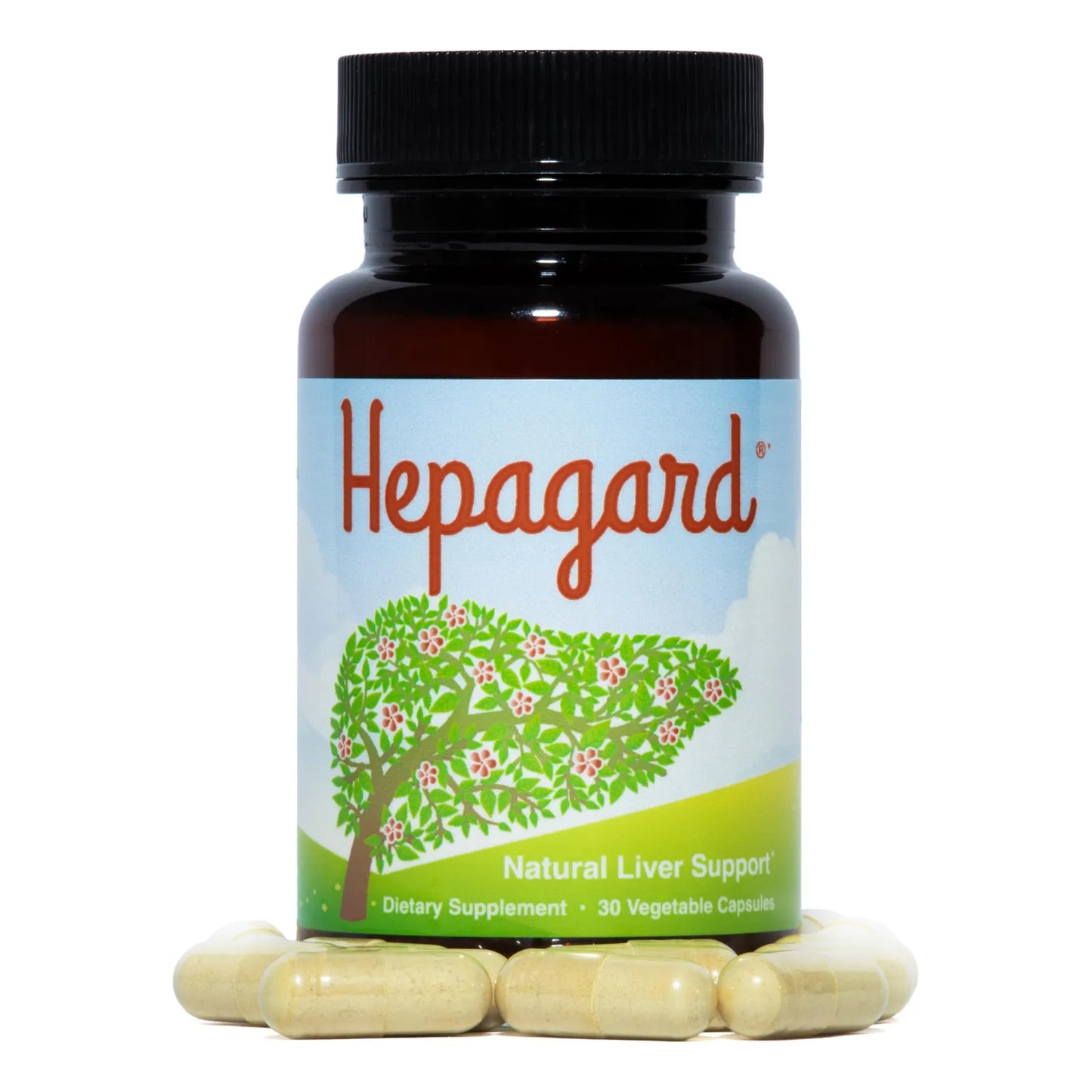 Suplemento Natural Hígado N Acetil Cisteína 600mg 120 Cápsulas Desintoxicación Hepática