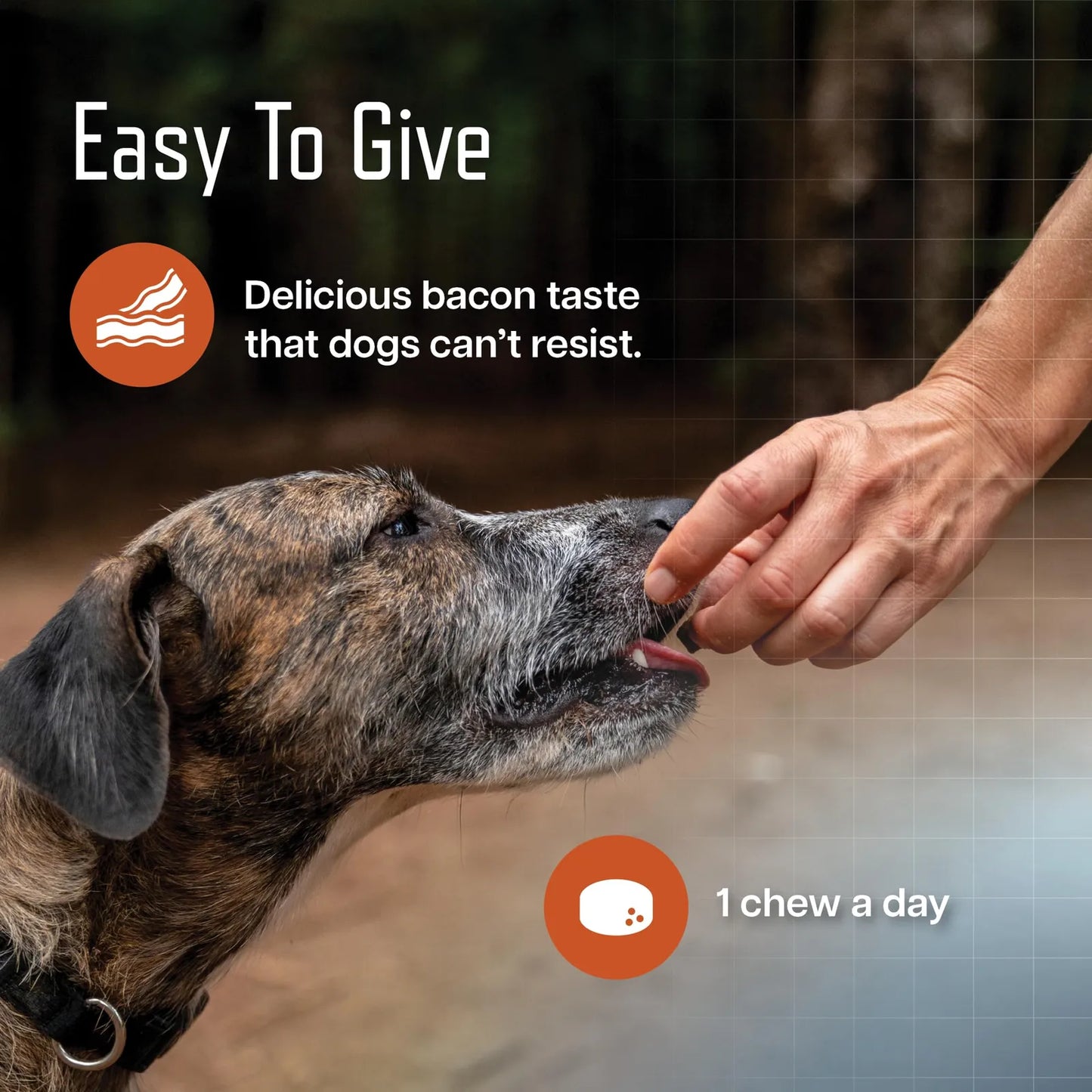 URSOLYX Masticables Suaves Para Perros Apoyo Salud Muscular 60 Unidades
