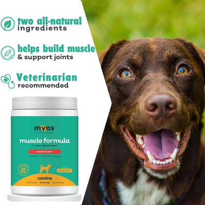 MYOS Músculo Y Articulación Fortetropina Con Mejillón Labial Verde 13.97 Oz Para Perros