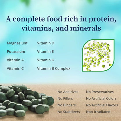 Chlorella Pyrenoidosa Orgánica Pared Celular Agrietada Superalimento Nutracéutico